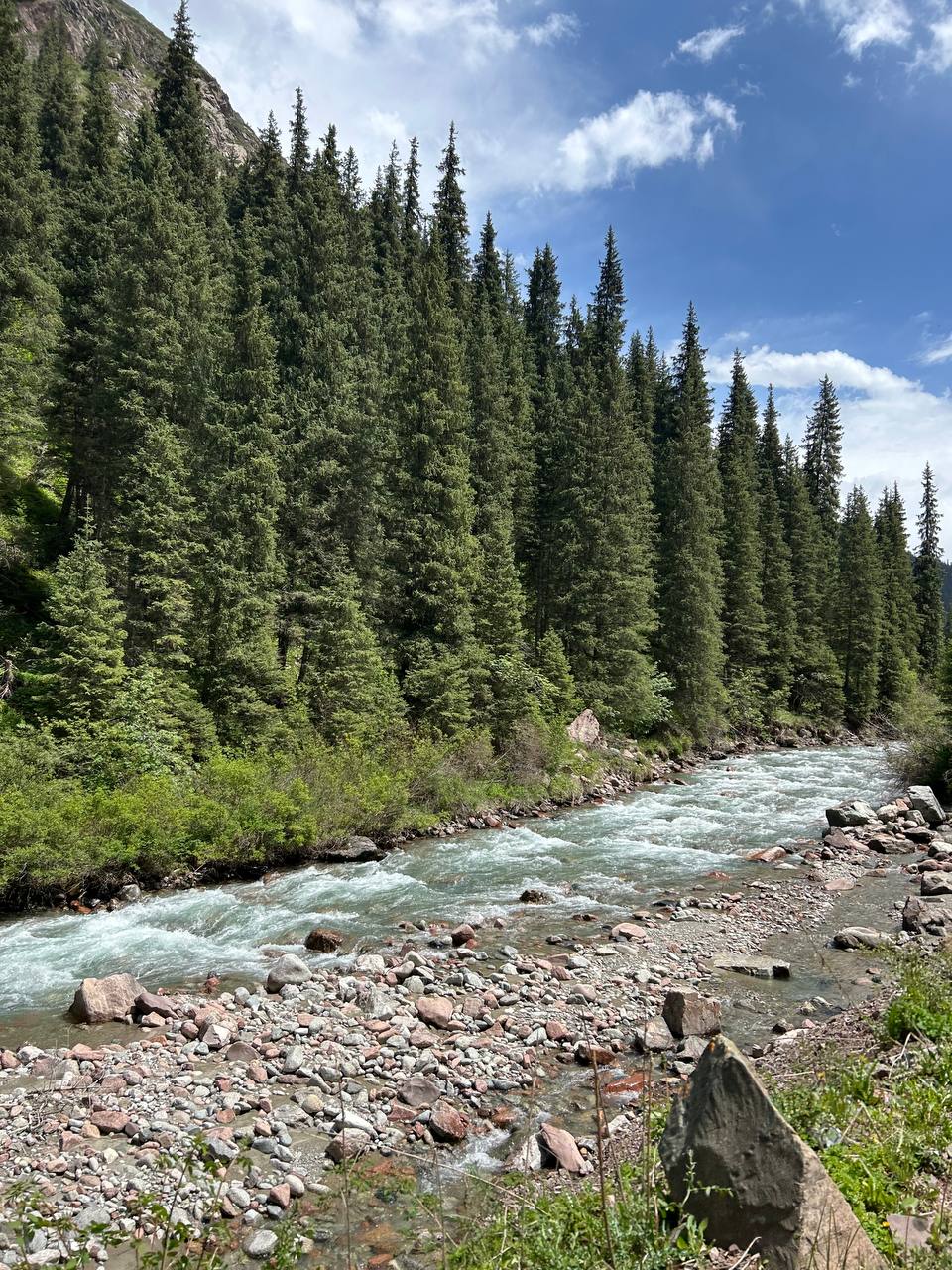 Turquoise river through forest