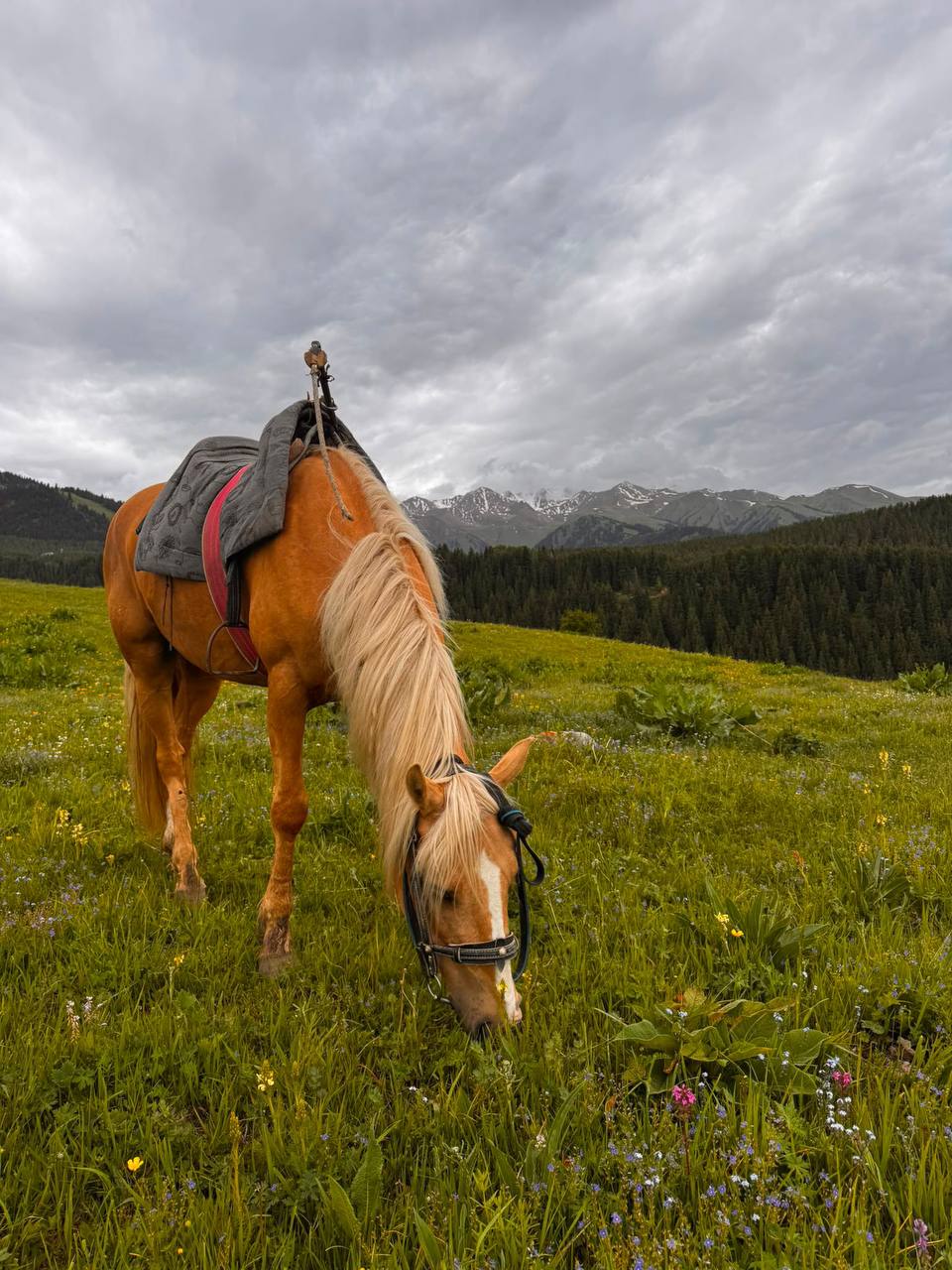 Two riders heading into the mountains