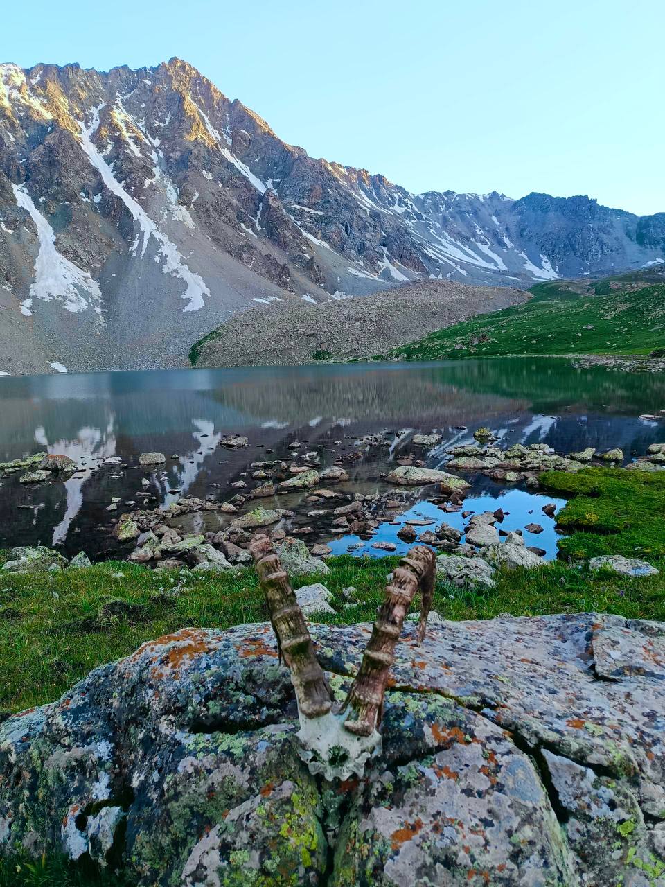 Jailoo pond reflection